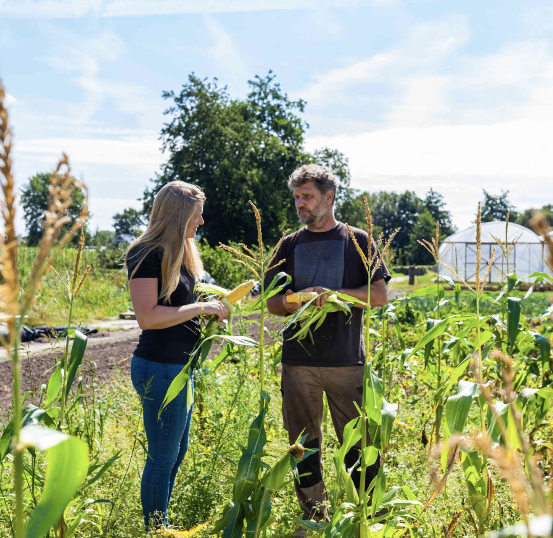 Food Forward agrarisch ondernemers in een maisveld